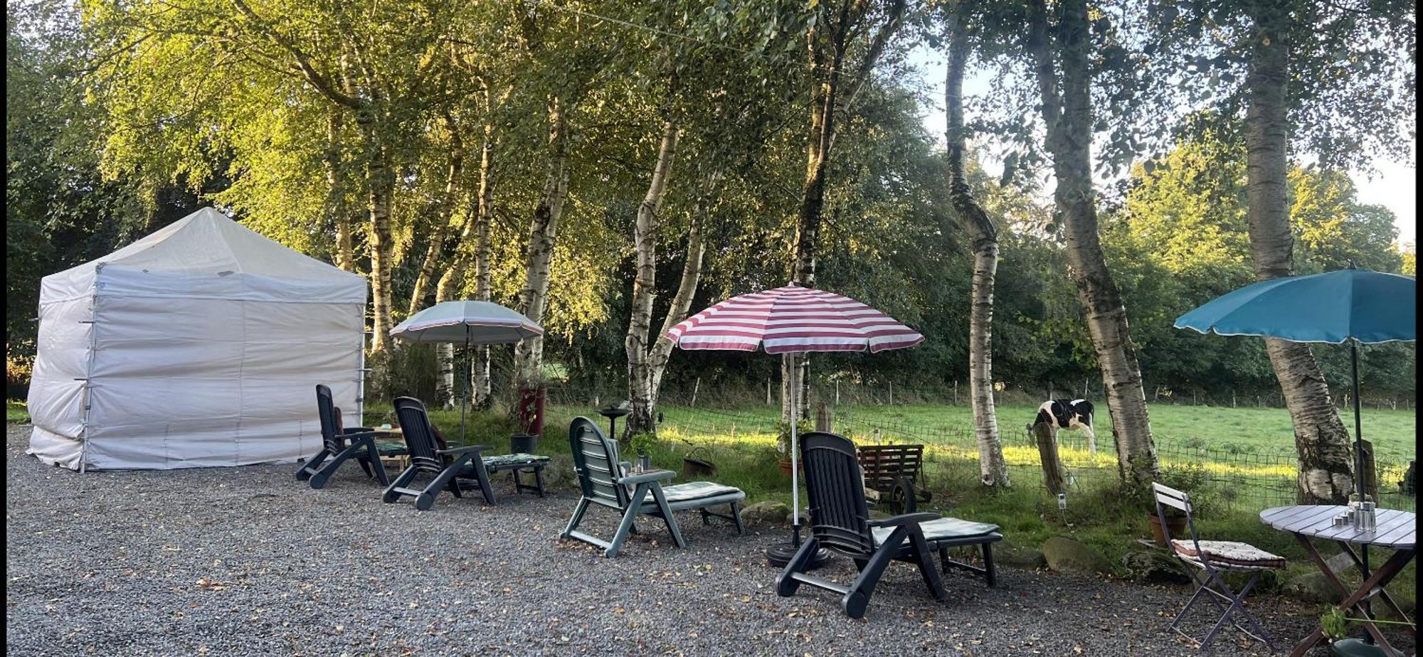 Saint-Mars-sur-la-Futaie Double & Family Rooms In Tranquility In Blue المظهر الخارجي الصورة